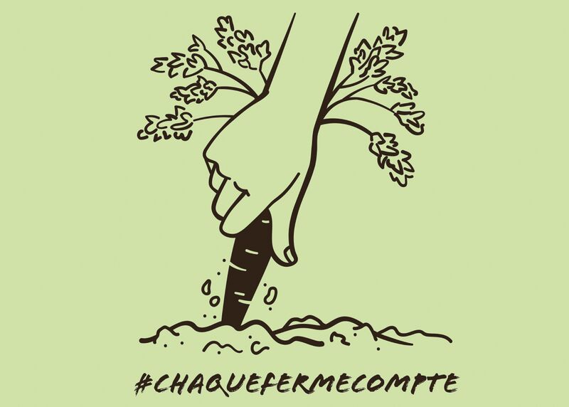 Fichier:Jederhofzaehlt F.jpg