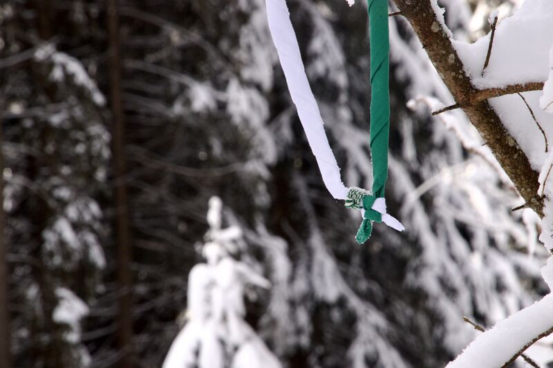 Fichier:Foulard scout Association du Scoutisme Vaudois.jpg