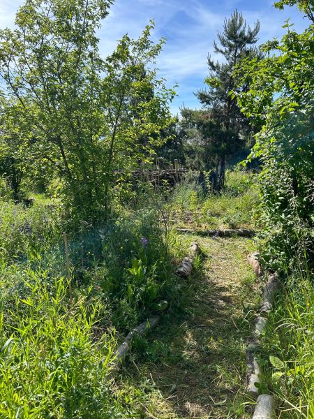 Fichier:Jardin-forêt des Morettes Prangins mai 2025.jpeg