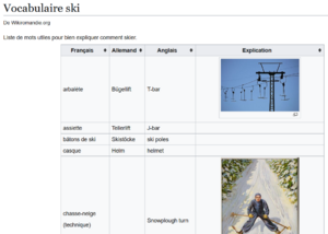 Vocabulaire de ski.png