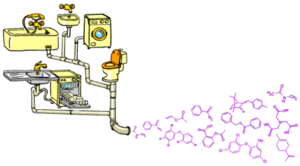 Dispertions des microspolluants.png