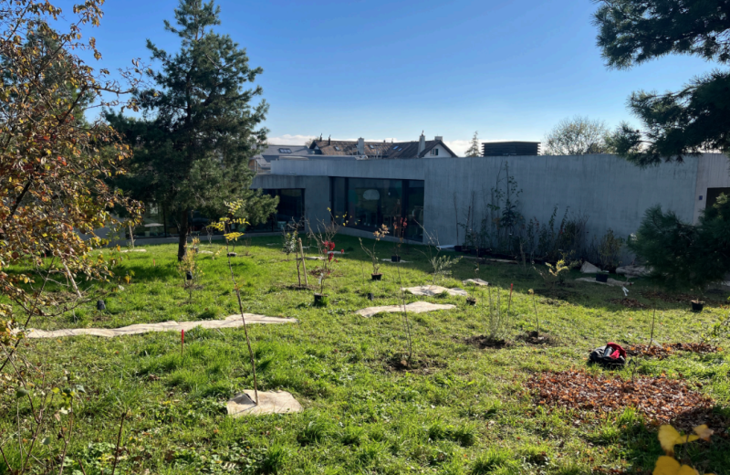 Fichier:Jardin-forêt des Morettes automne 2024.png