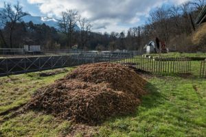 Broyat pour améliorer la MA d'une surface.jpg